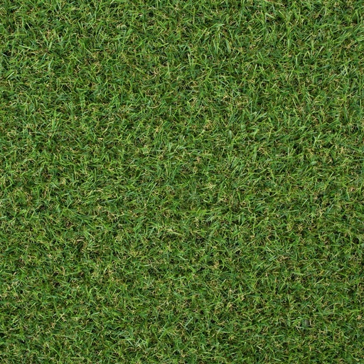 [G-4JUB] 4m Jubilee Grass